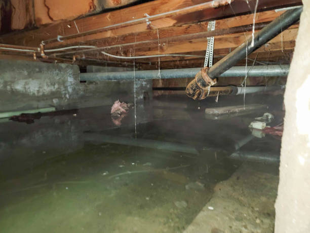Best Water damage restoration services  in Inman, SC