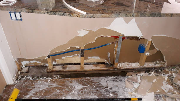 Best Water damage cleanup near me  in Inman, SC