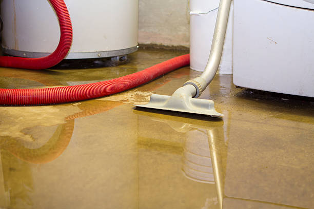 Best Water damage restoration near me  in Inman, SC
